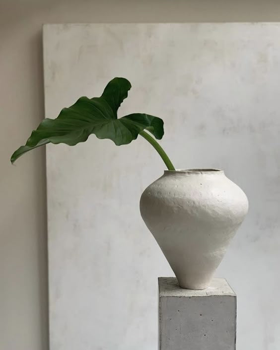 Plants