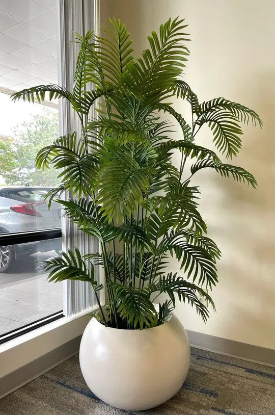 Palm Tree - AWOLUS