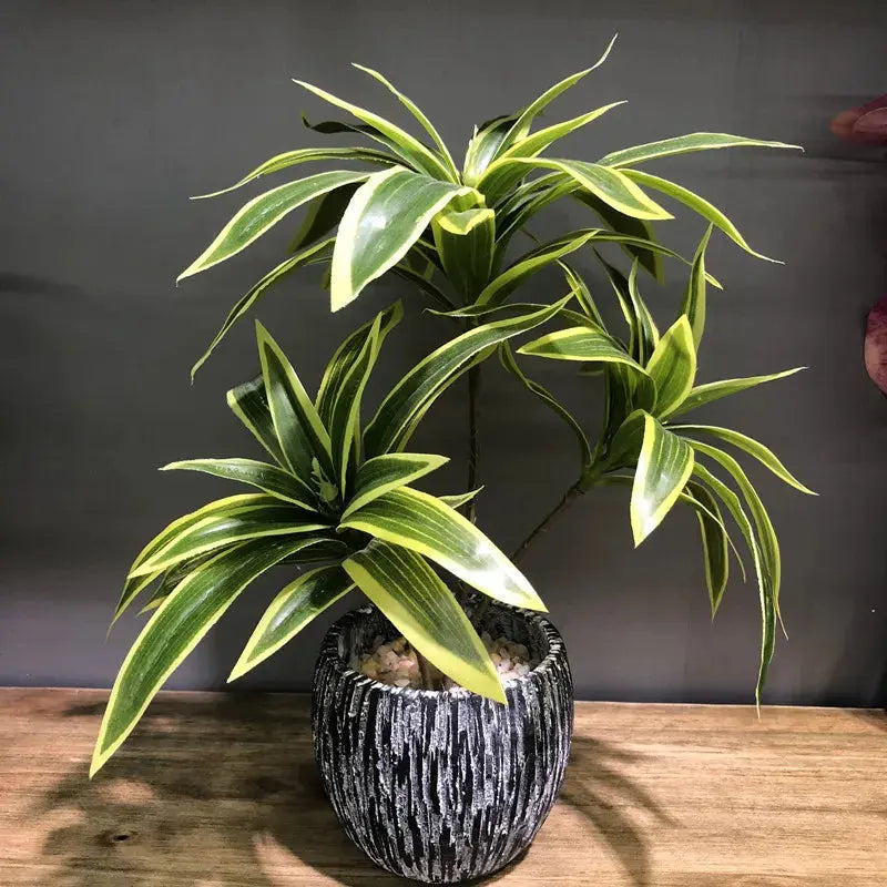 Palm Tree - AWOLUS