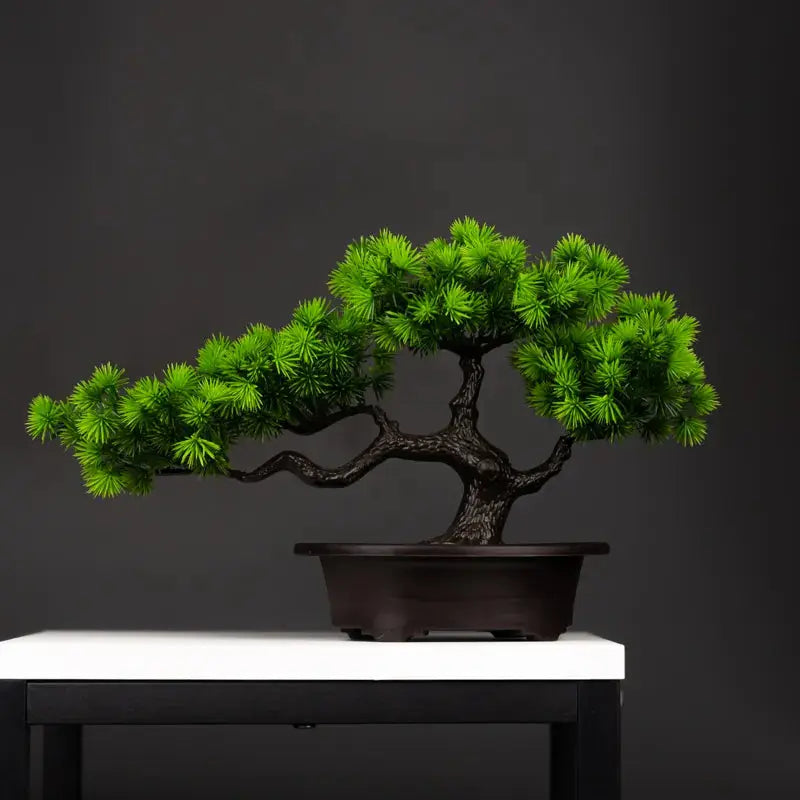 Bonsai Tree - AWOLUS