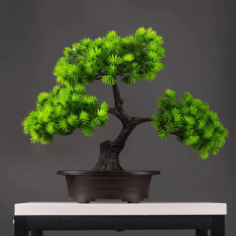Bonsai Tree - AWOLUS