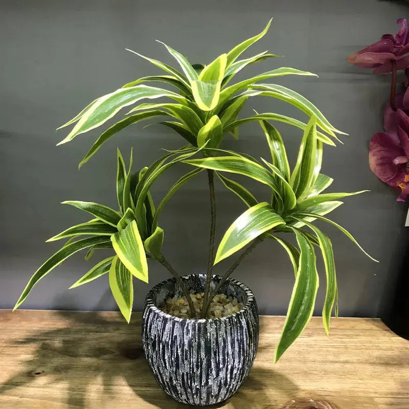 Palm Tree - AWOLUS