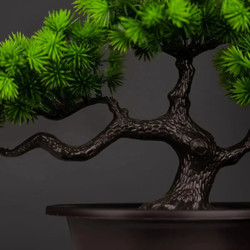 Bonsai Tree - AWOLUS