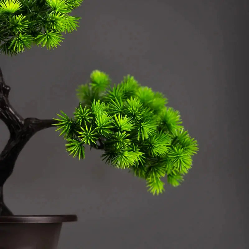 Bonsai Tree - AWOLUS
