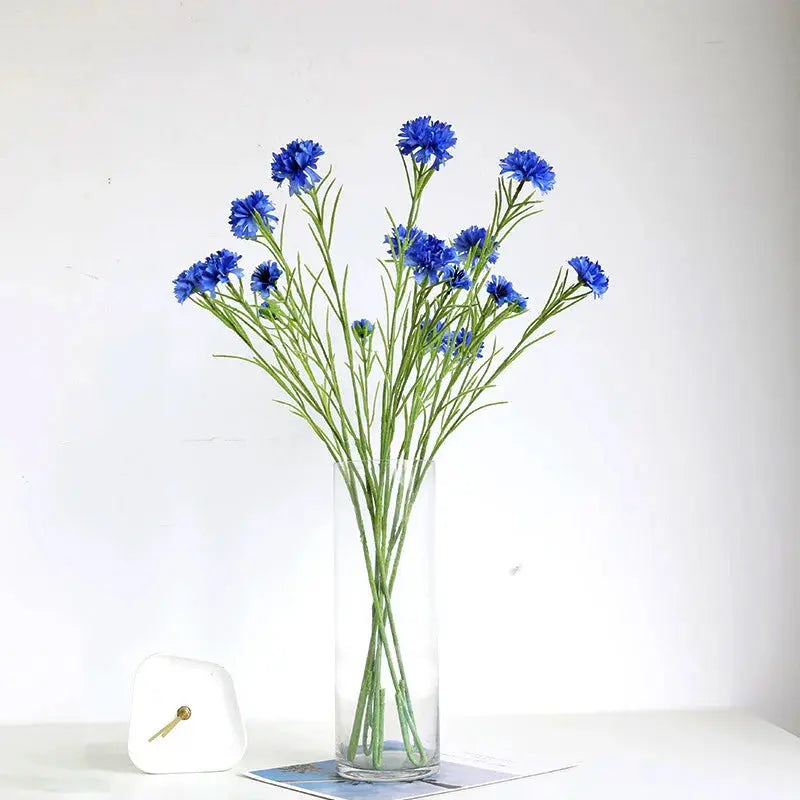 Starry Cornflower - AWOLUS