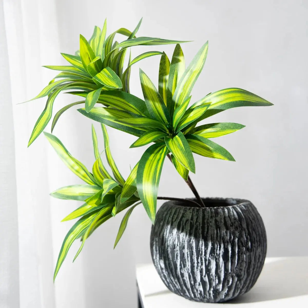 Palm Tree - AWOLUS