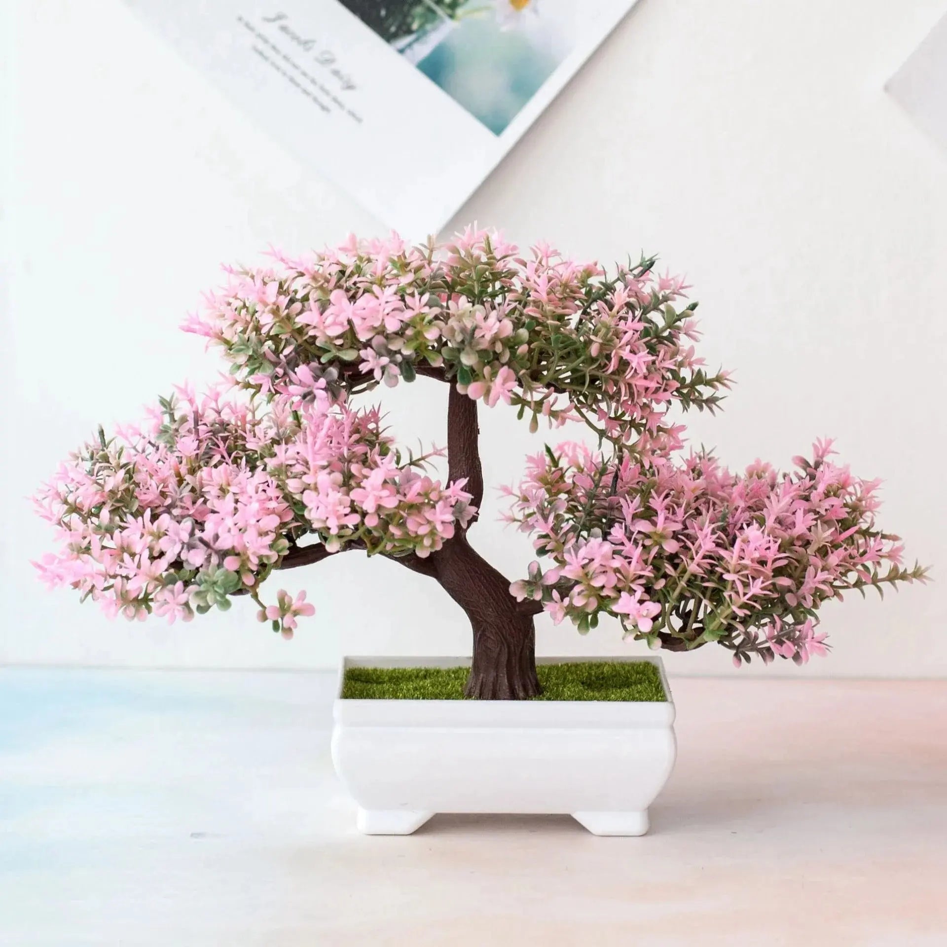 Bonsai Tree - AWOLUS