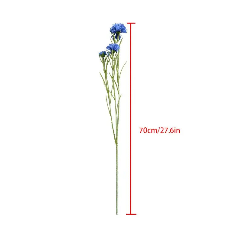 Starry Cornflower - AWOLUS