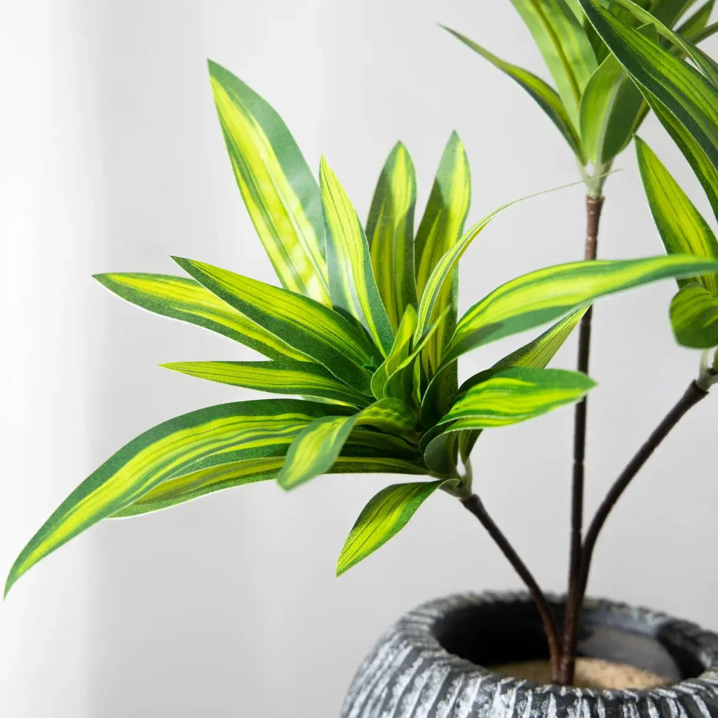 Palm Tree - AWOLUS