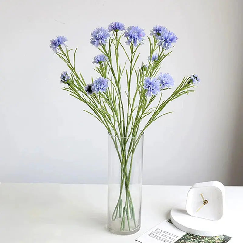 Starry Cornflower - AWOLUS