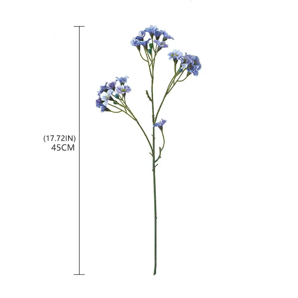 Cornflowers - AWOLUS