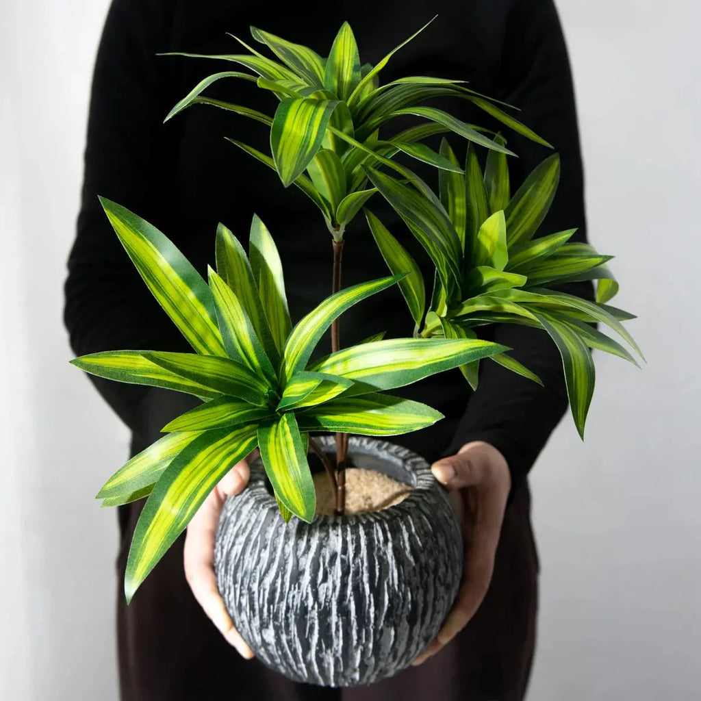 Palm Tree - AWOLUS