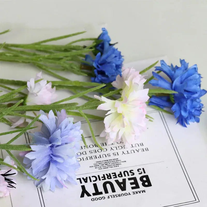 Starry Cornflower - AWOLUS
