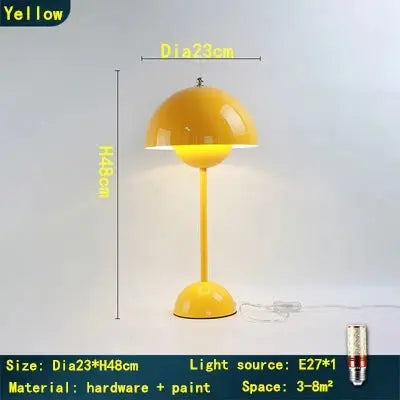 49357926007129