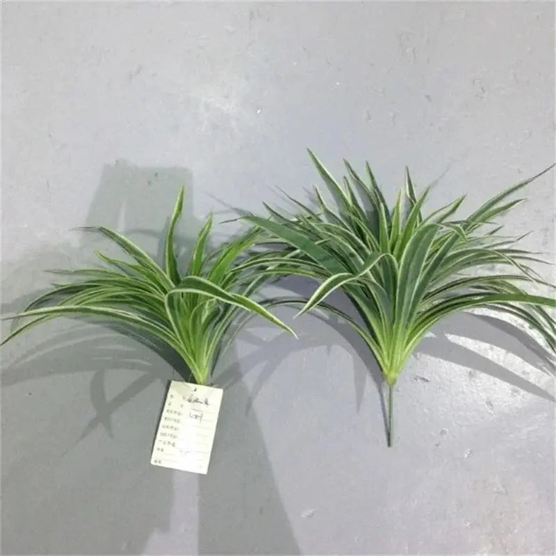 Chlorophytum Plant - AWOLUS
