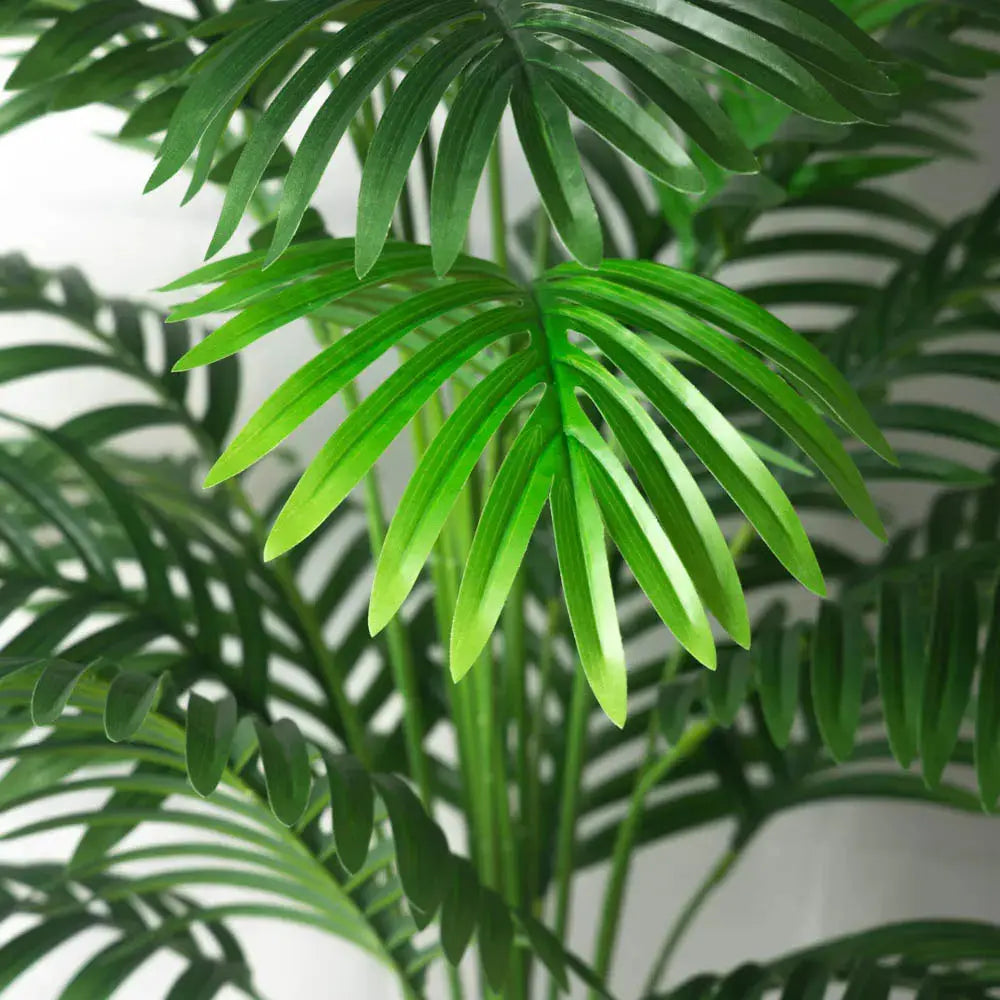 Palm Tree - AWOLUS